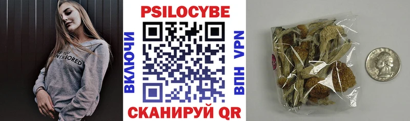дарнет шоп  Киренск  Галлюциногенные грибы Psilocybe 